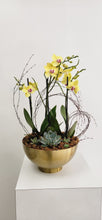 Cargar imagen en el visor de la galería, Planter de Orquidea
